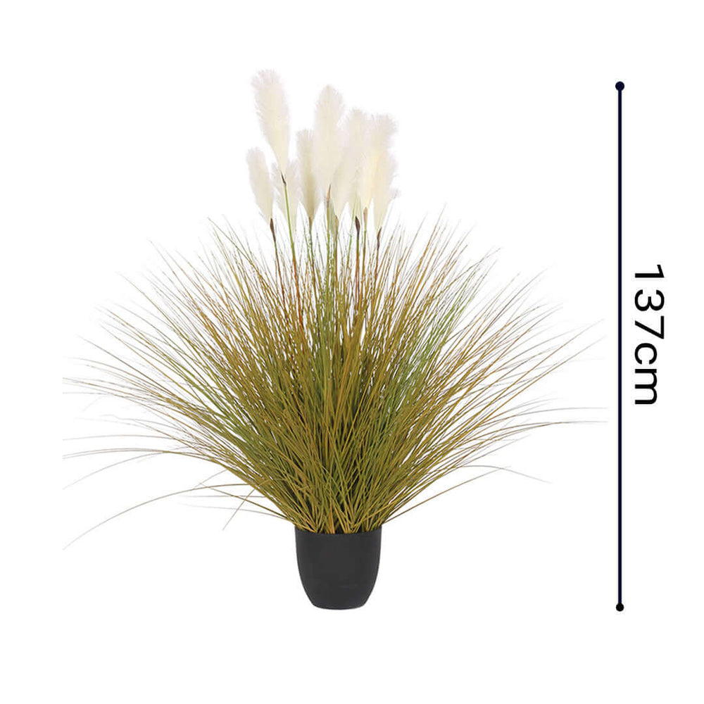 Tall artificial grass plant in black pot, measuring 137 cm, offers affordable quality homeware for value furniture decor.