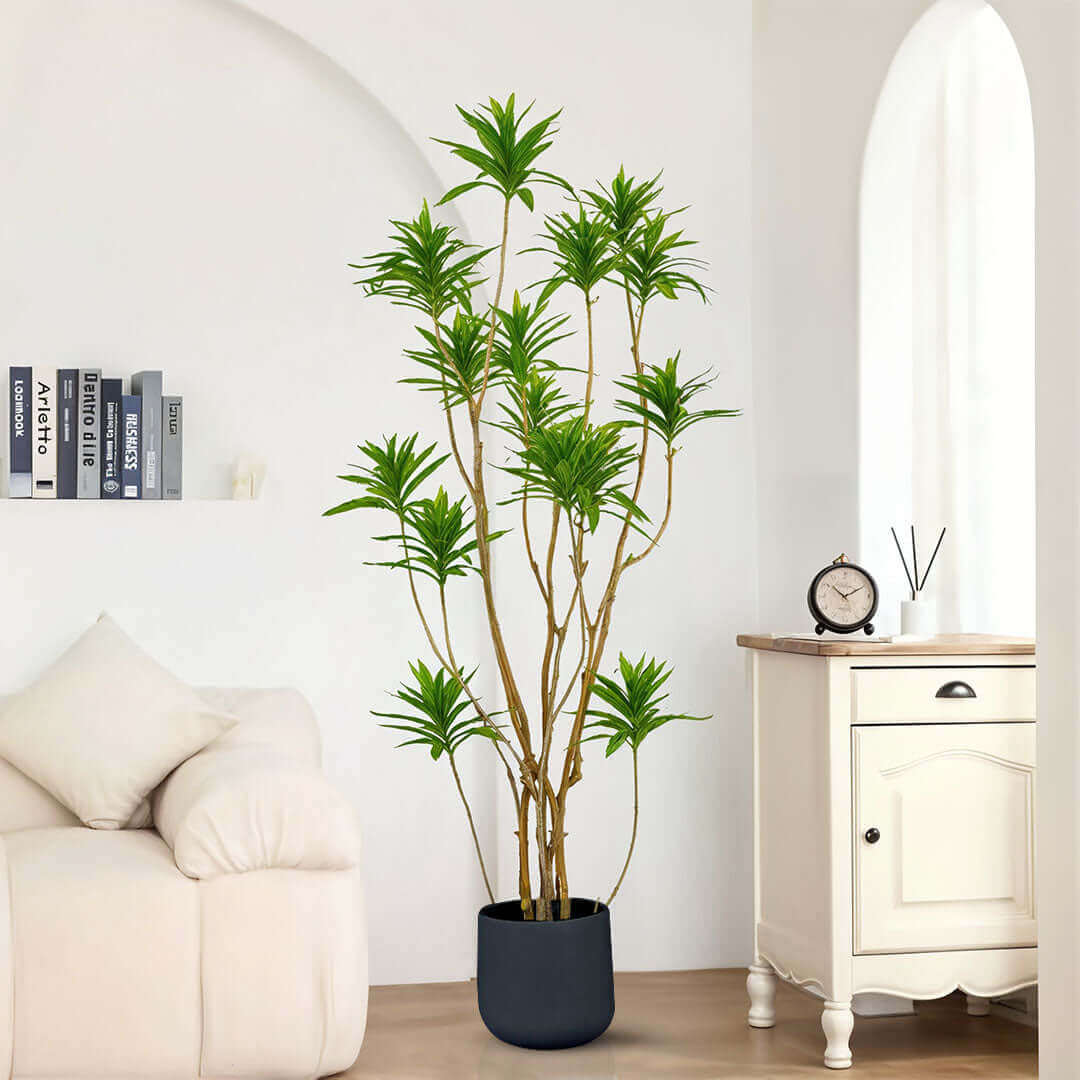 Affordable quality homewares - potted plant in modern, value furniture living room with white sofa and cabinet.