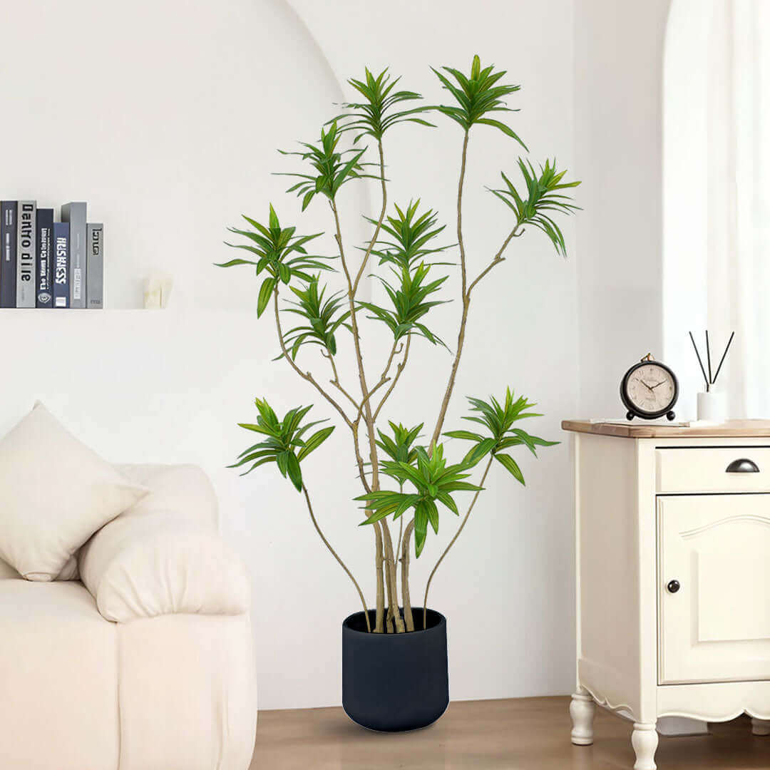 Affordable quality homewares - Stylish potted plant next to value furniture in a cozy living room setting.