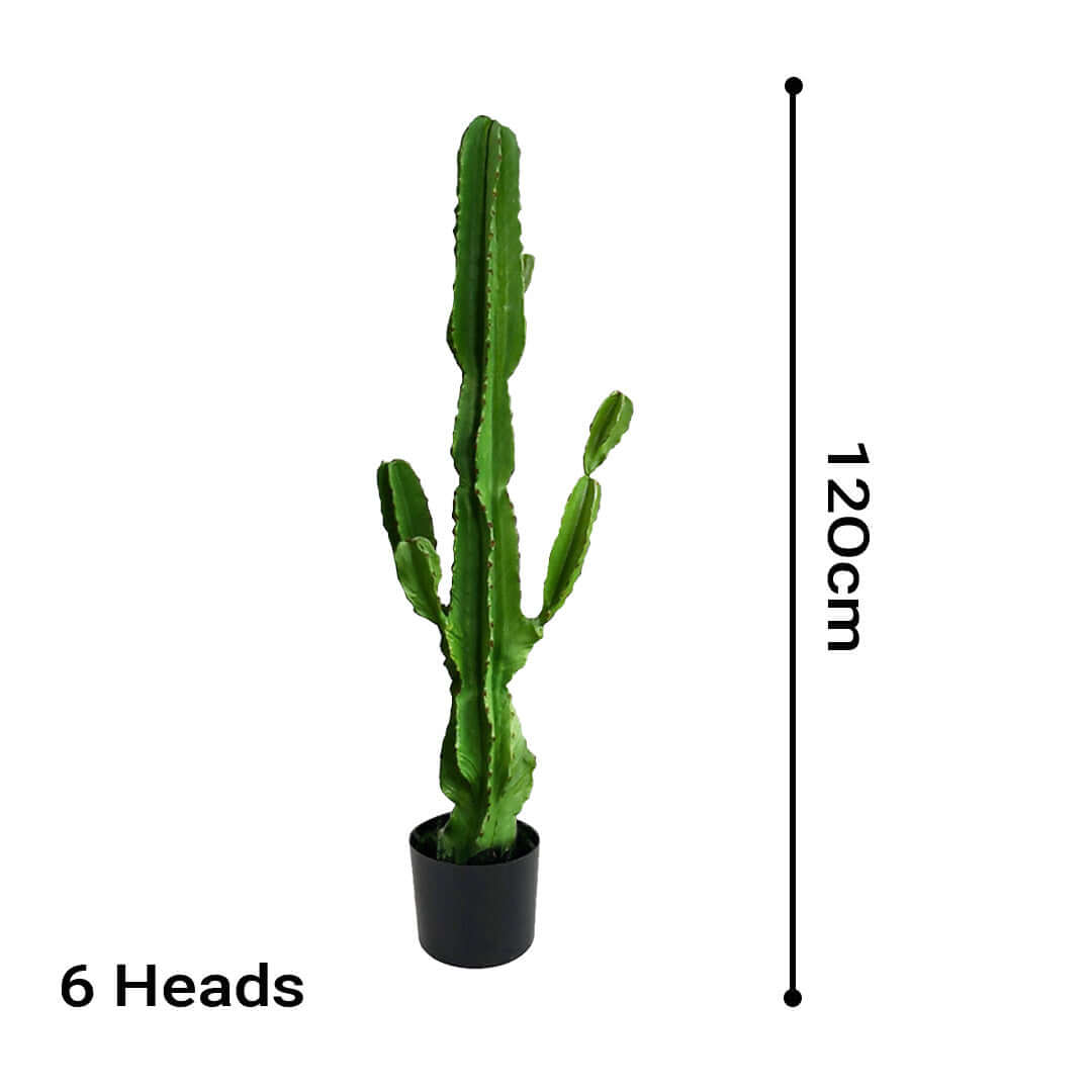 120cm artificial cactus plant with 6 heads in a black pot - affordable quality homewares and value furniture accessory