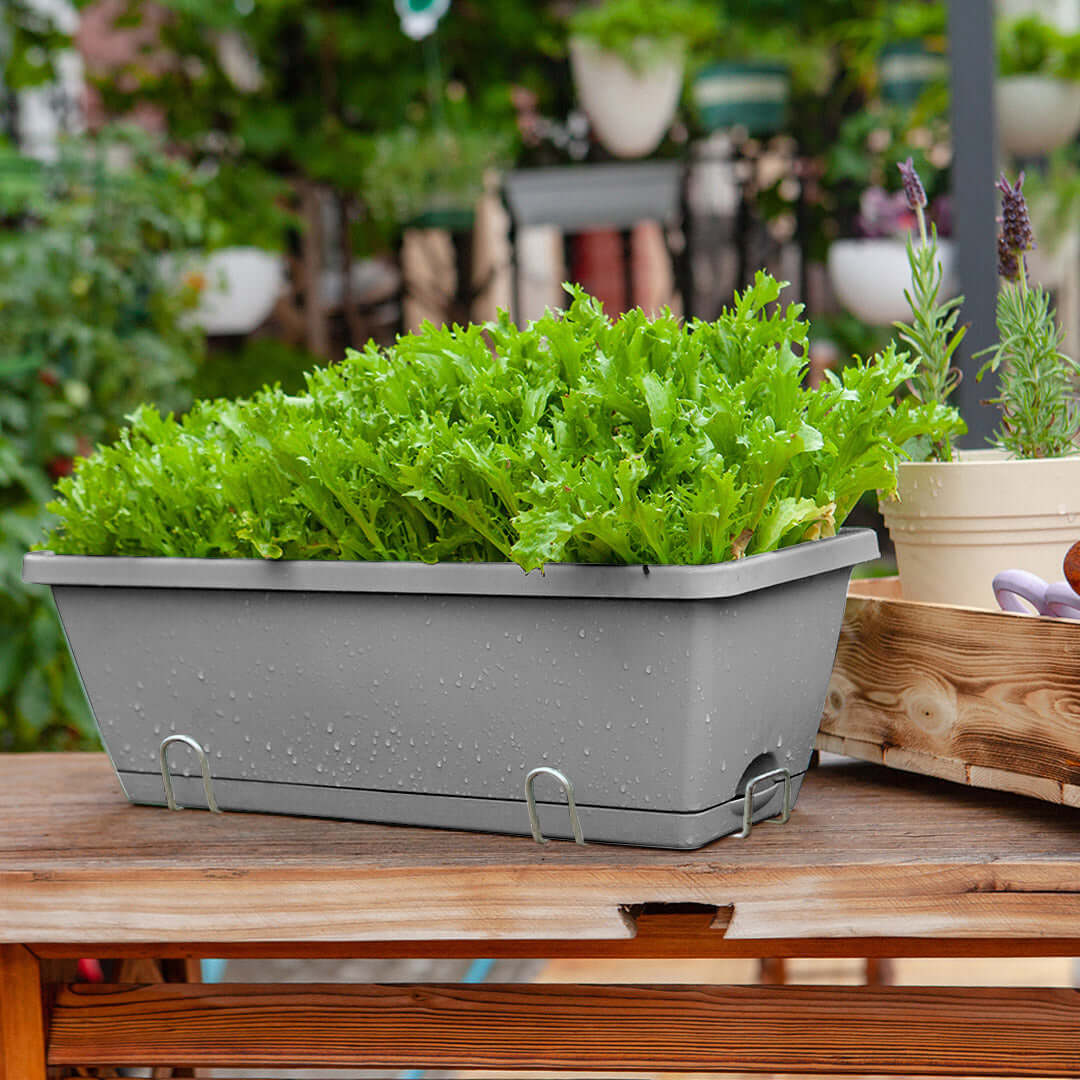 Affordable and quality homewares: Fresh greens in a value furniture planter pot on a wooden table.