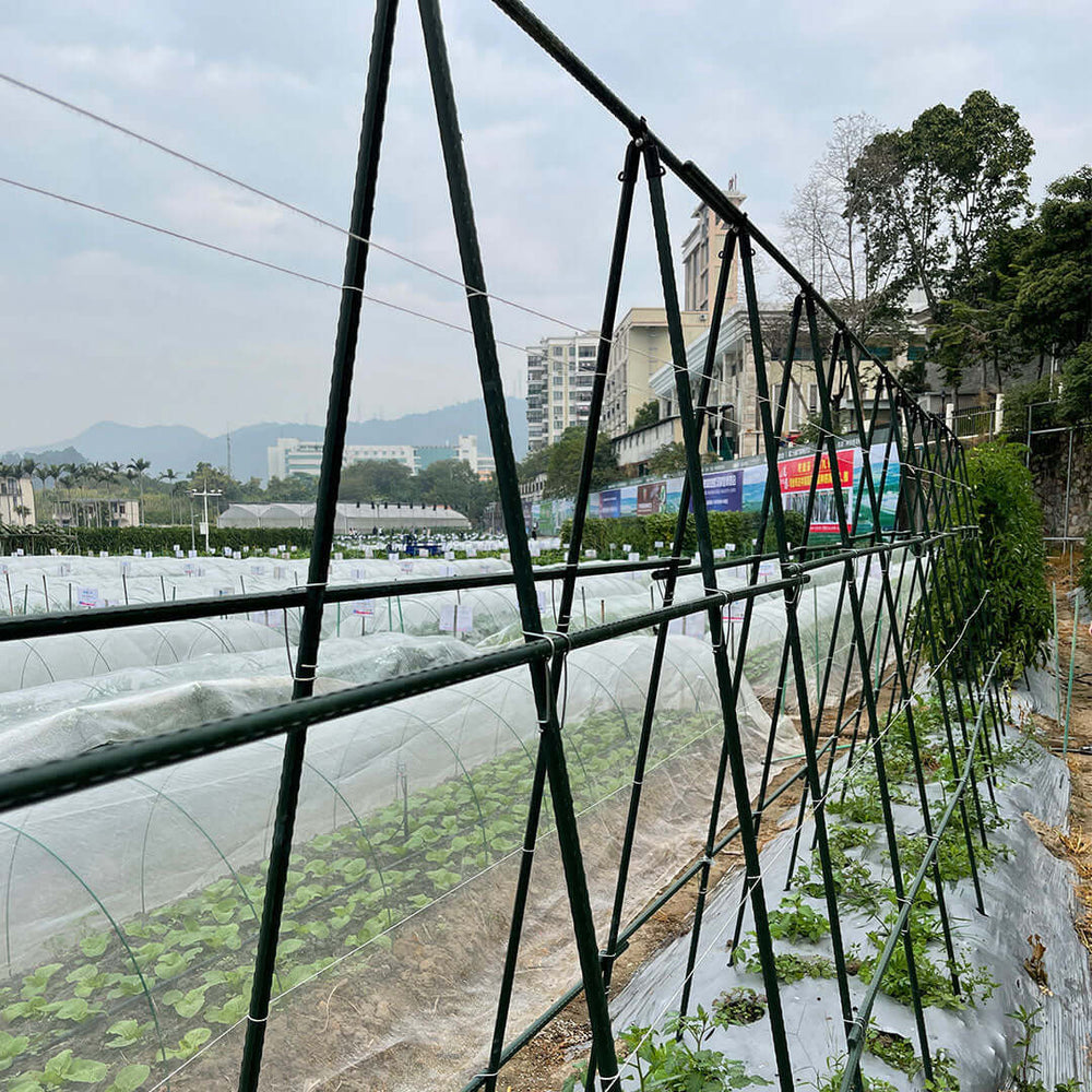 Urban greenhouse with green plants and netted frames in a garden, under a cloudy sky, showcasing sustainable urban farming practices.