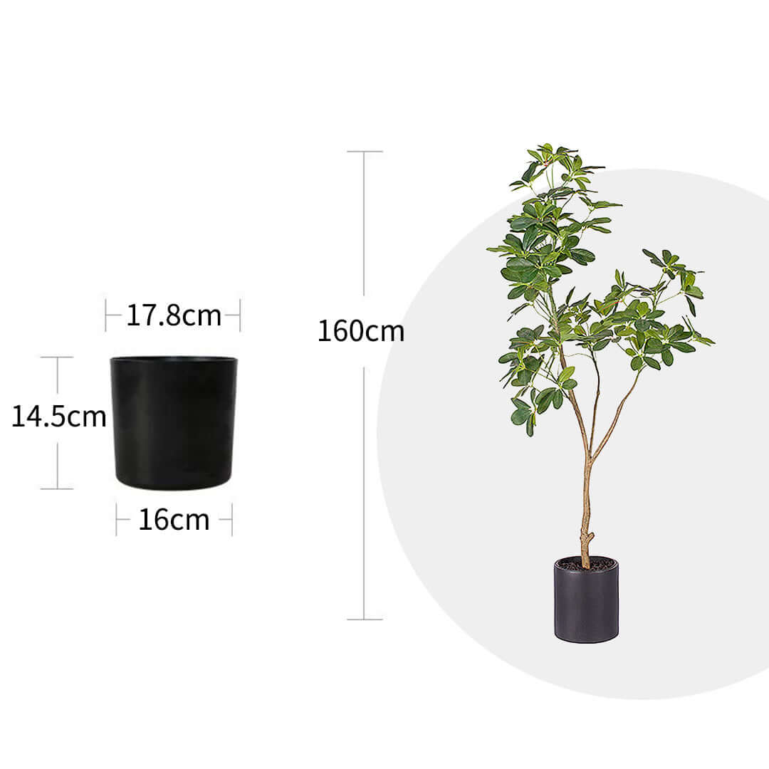 Affordable quality artificial plant with detailed pot dimensions, ideal for homewares and value furniture displays.