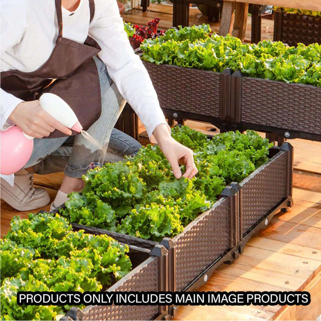 Person watering green leafy plants in raised garden beds on a wooden patio.