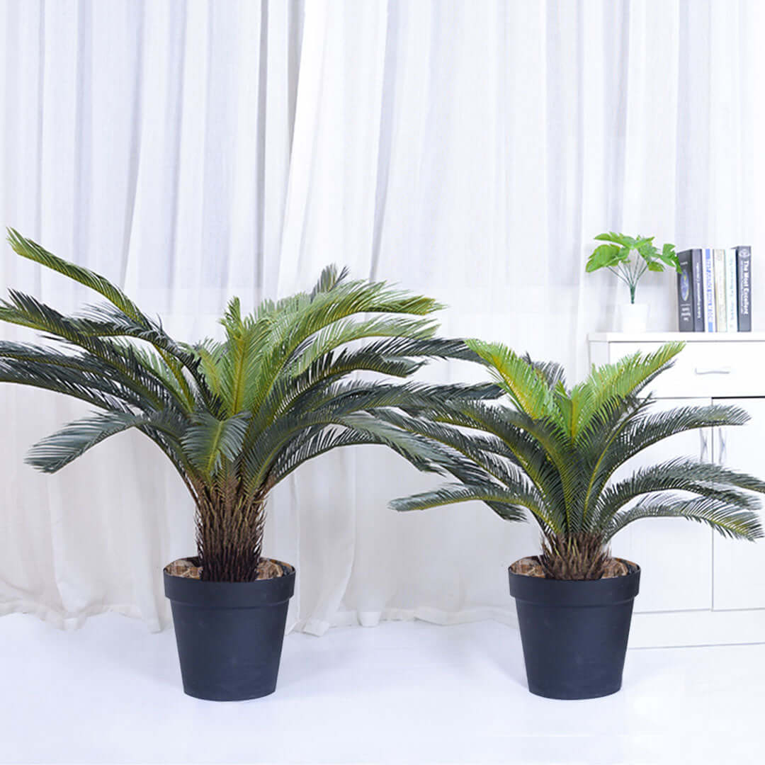 Two potted palm plants in a white modern living space with sheer curtains and a small plant on a side table.