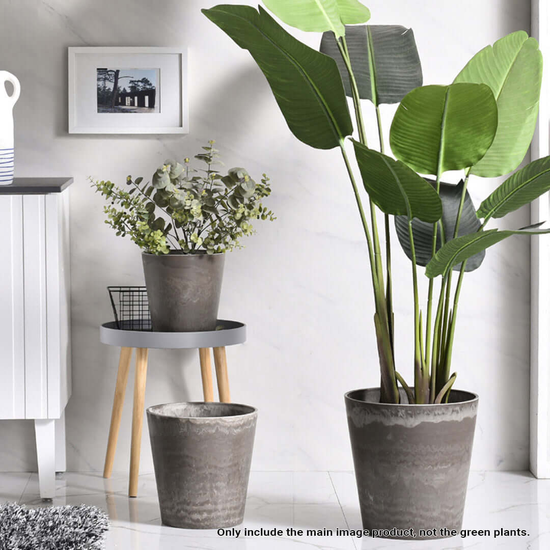 Affordable quality value furniture with potted plants for modern home décor.