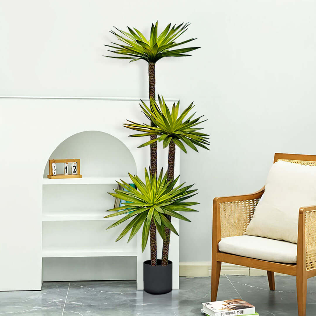 Modern living room with affordable homewares, including a quality potted plant and value furniture.