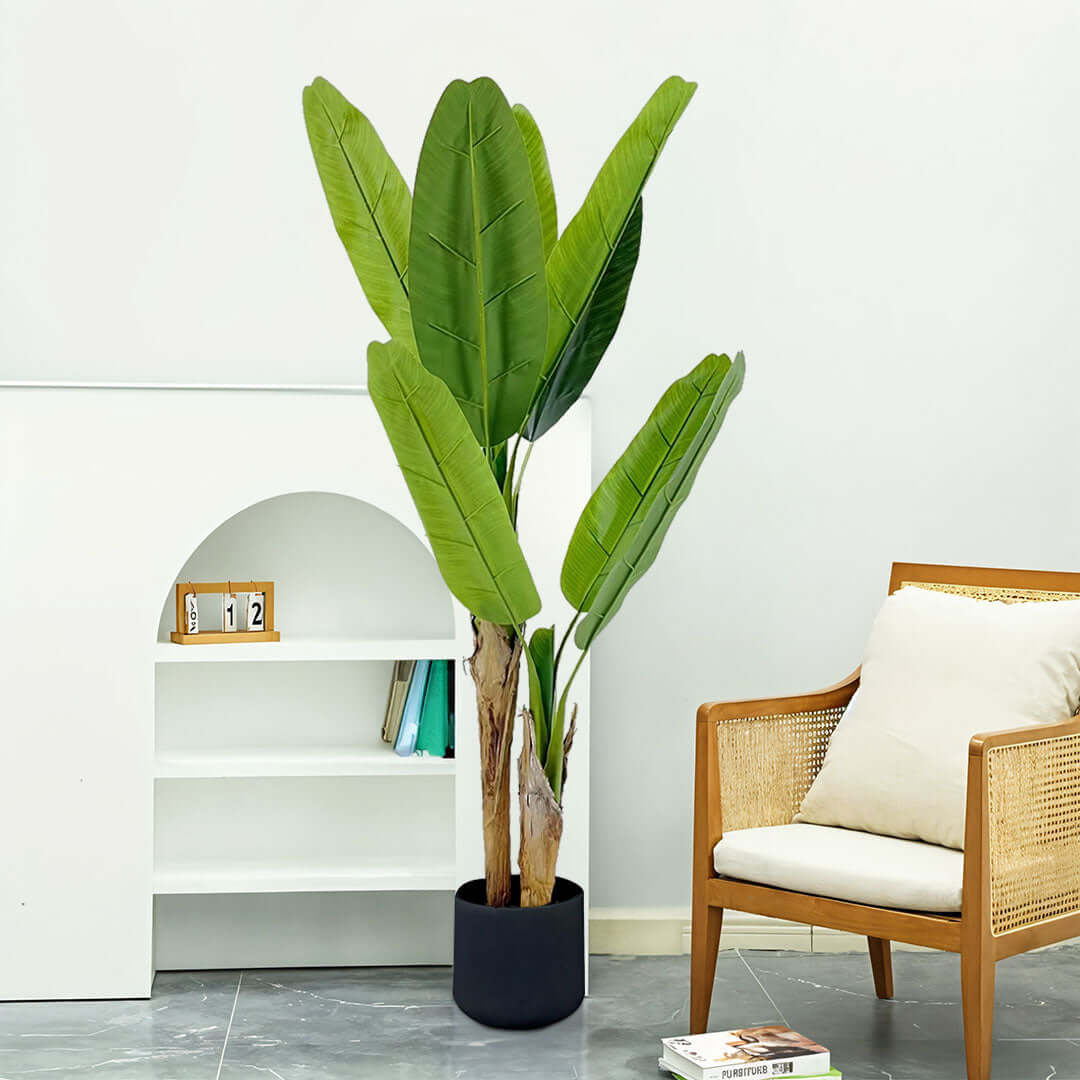 Affordable stylish homewares including a quality artificial plant, value furniture, and modern decor for a chic living space.