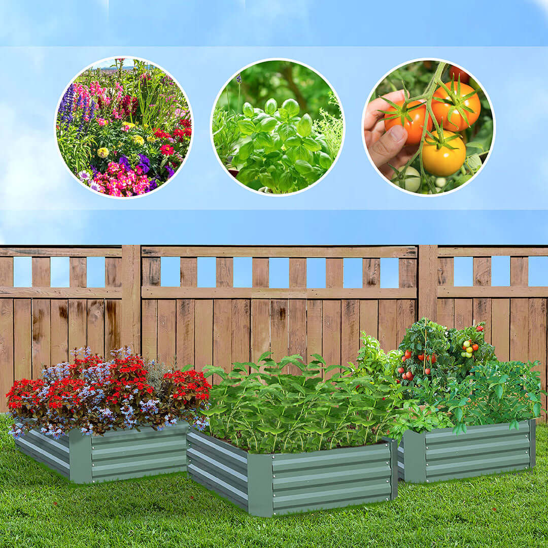 Raised garden beds with assorted flowers, herbs, and tomatoes in front of a wooden fence under a blue sky.