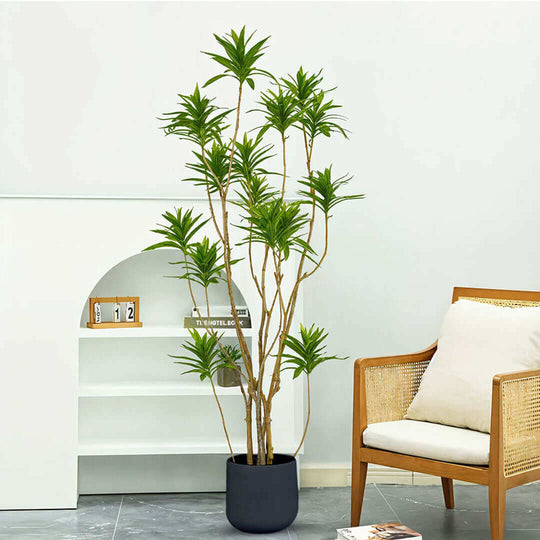 Stylish affordable homewares featuring a quality potted plant and cozy value furniture for modern interiors.