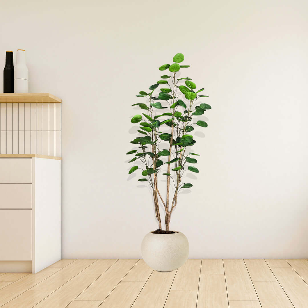 Affordable quality homewares - value furniture with modern potted plant for stylish interior décor.