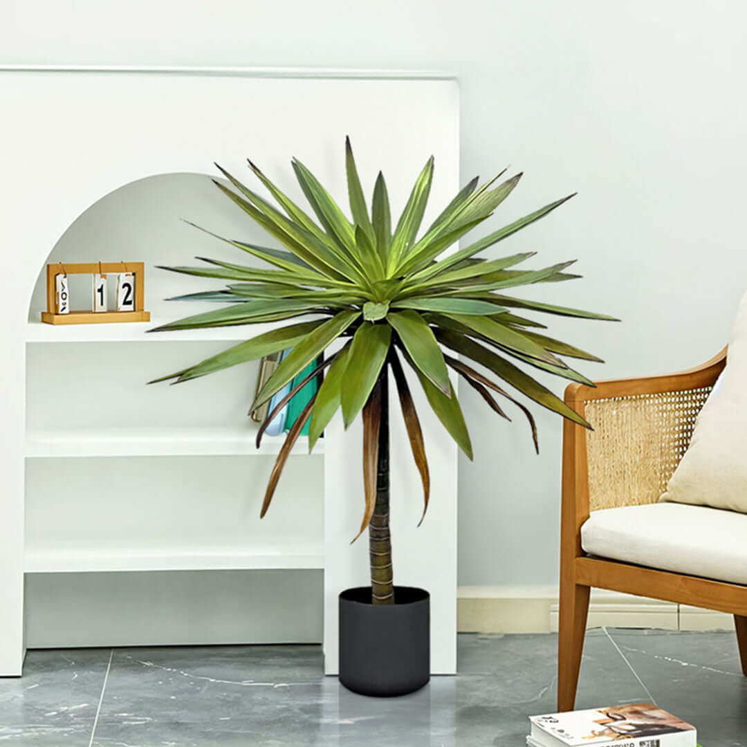 Affordable quality homewares - lush green potted plant on tiled floor next to a white shelf and a wicker chair. Perfect value furniture accessory.