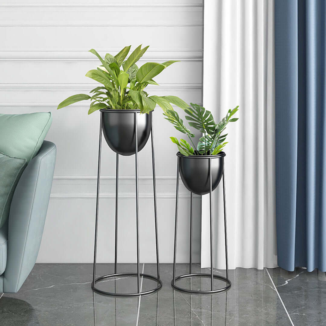 Two modern plant stands with lush greenery near a sofa, showcasing affordable quality homewares and value furniture for stylish decor