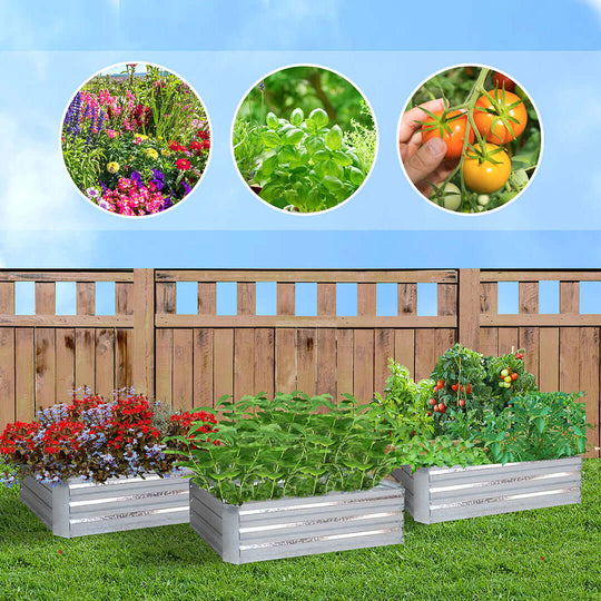 Raised garden beds with thriving flowers, herbs, and vegetables in a backyard, promoting affordable homewares and quality value furniture for gardening.