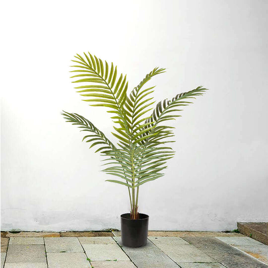 Affordable homewares - High-quality potted green plant ideal for affordable home decoration and value furniture settings.