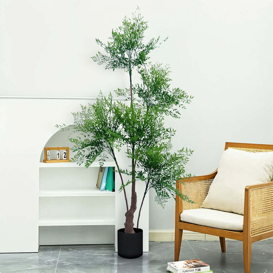 Affordable quality homewares - potted plant next to rattan chair and bookshelf in a modern living space for great value furniture decor.