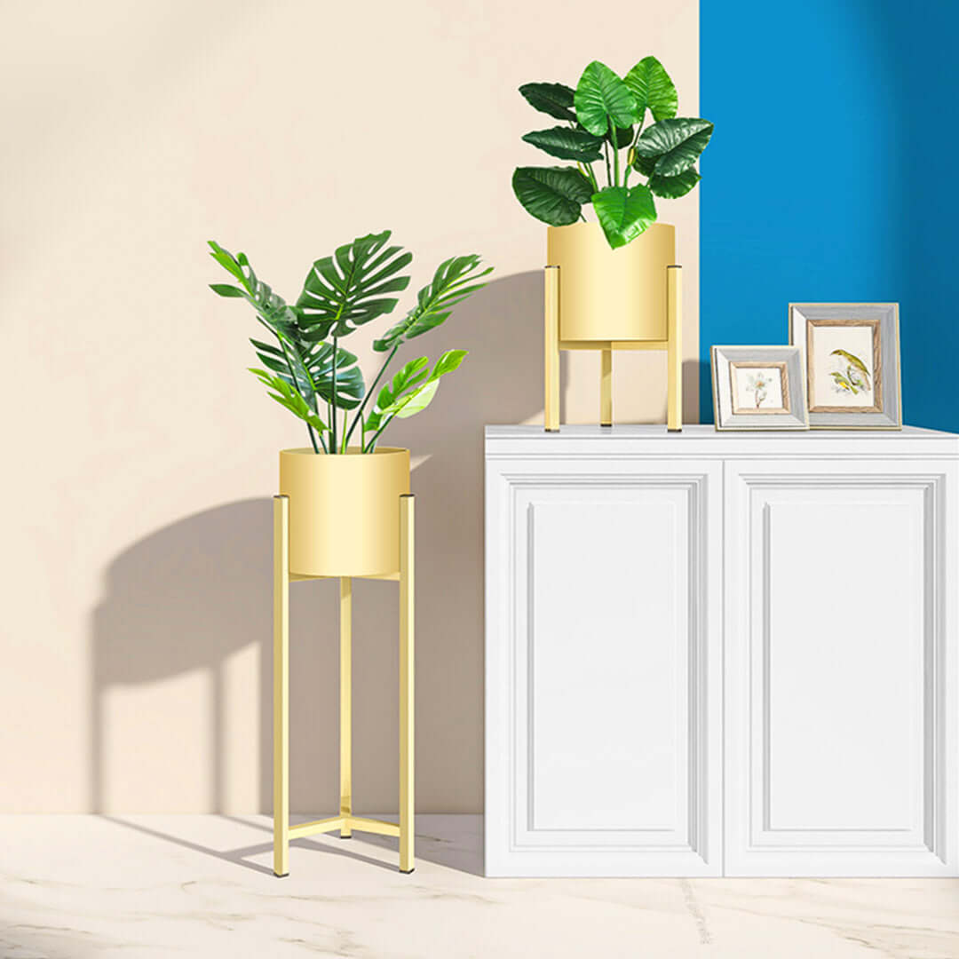 Quality affordable homewares and value furniture featuring stylish planters and decorative frames on a modern white cabinet