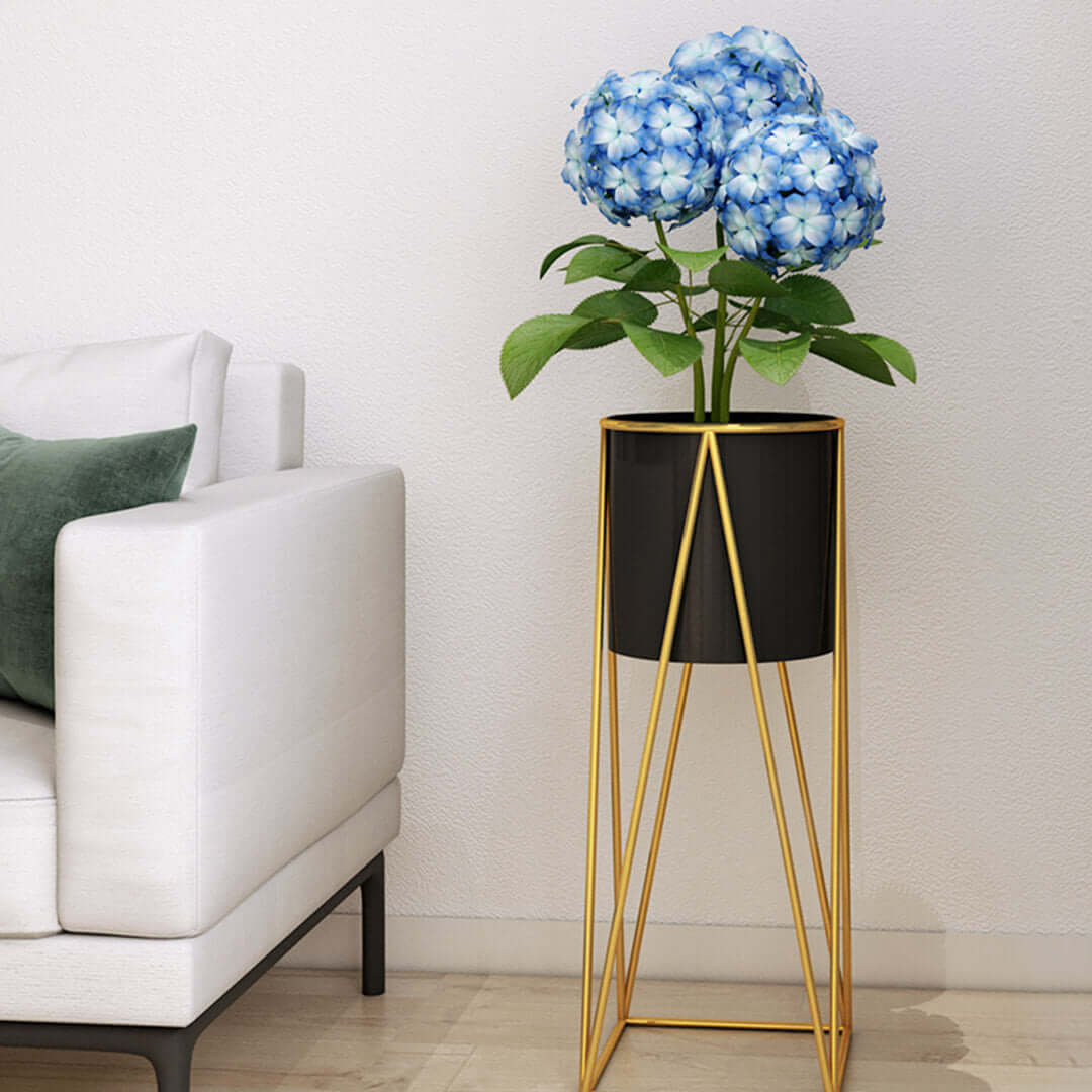 Affordable and quality homeware - stylish black and gold metal plant stand with vibrant blue hydrangeas next to a modern white sofa.