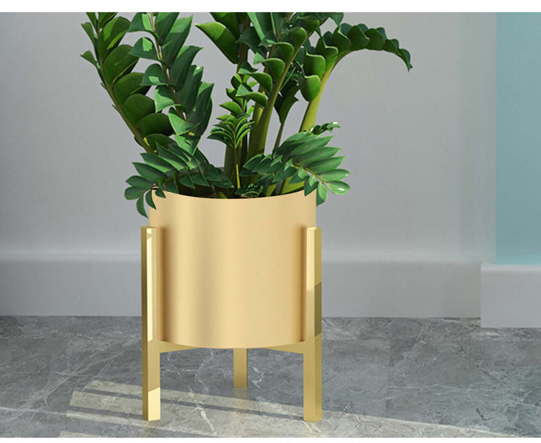 Golden plant stand with lush green plant, affordable homewares, quality value furniture