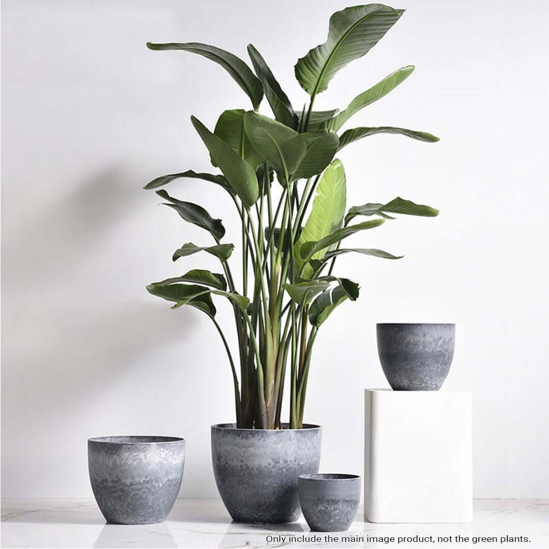 Affordable homewares - quality grey ceramic planters in various sizes for value furniture arrangements