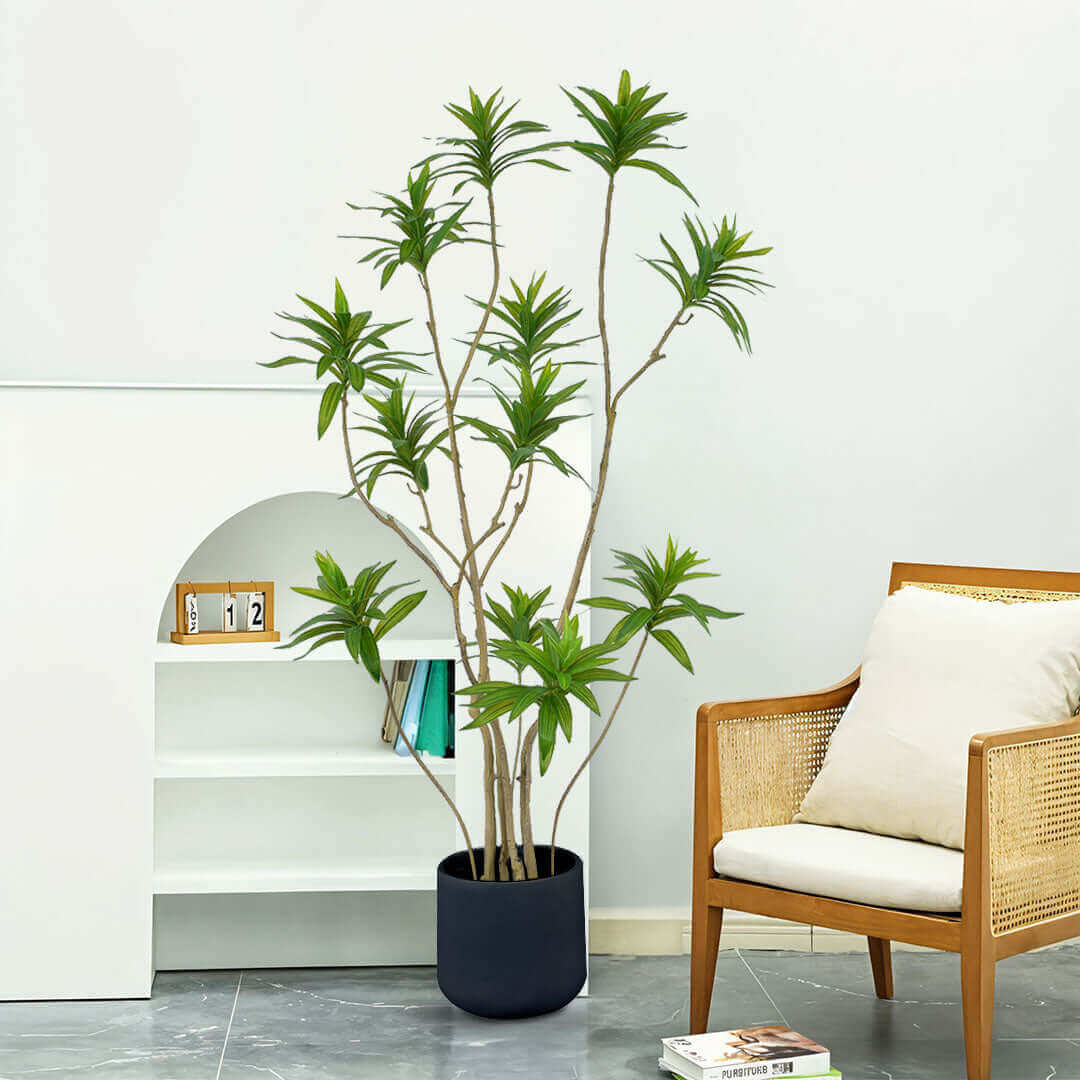 Affordable quality homewares - stylish potted plant for modern living rooms, enhancing value furniture and home aesthetics.