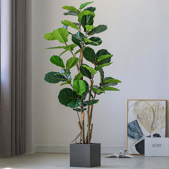 Affordable quality homewares - tall potted fiddle leaf fig plant in modern gray planter next to abstract art and curtains in stylish room