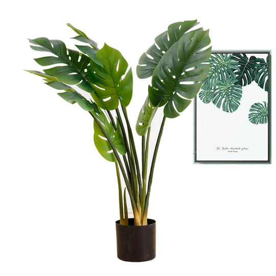 Affordable quality homewares - potted green plant with framed botanical print, value furniture decor.