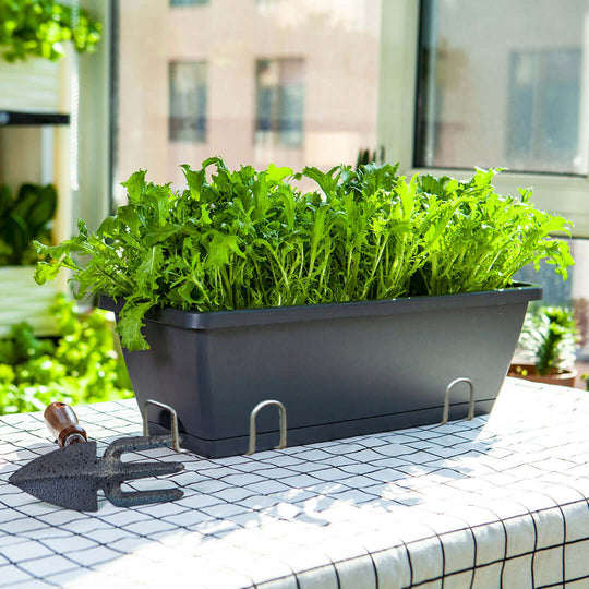 Affordable homeware planter filled with fresh green plants on a patterned table, showcasing quality and value furniture.