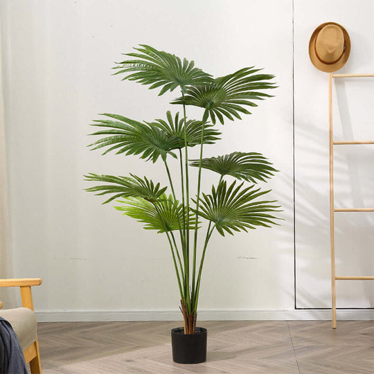 Potted green palm plant in a modern living room with wooden furniture and a wall-mounted hat