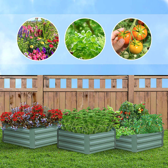 Raised garden beds with blooming flowers, fresh herbs, and ripe tomatoes against a wooden fence. Affordable homewares showcasing quality and value furniture essentials.