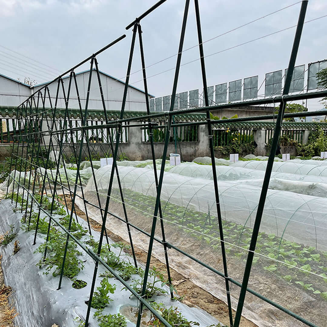 Outdoor vegetable garden with framed plant structures and protective covers on planting beds.