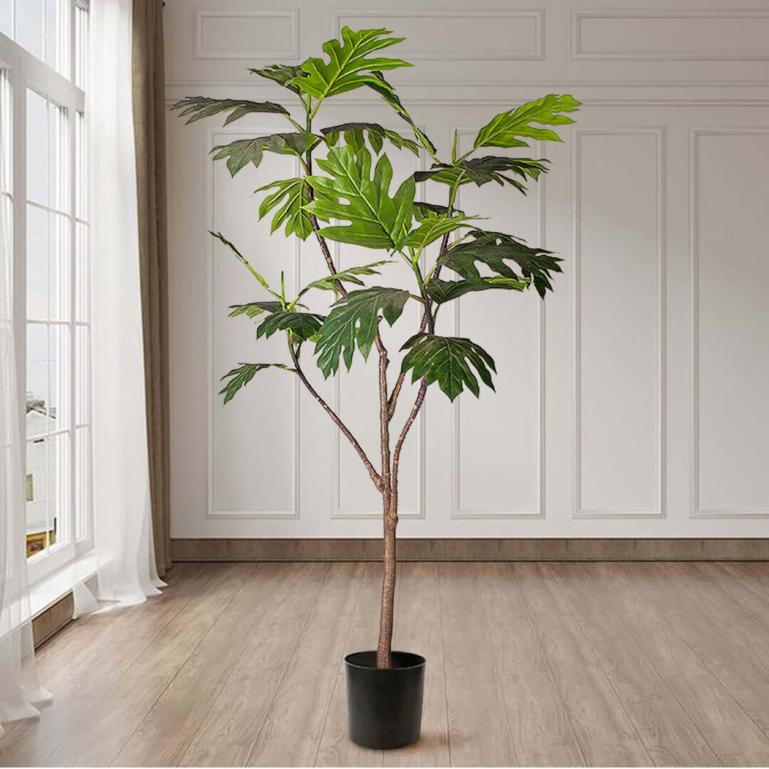 Affordable quality homewares - potted indoor plant in a stylish living room. Elegant value furniture enhancing indoor decor.