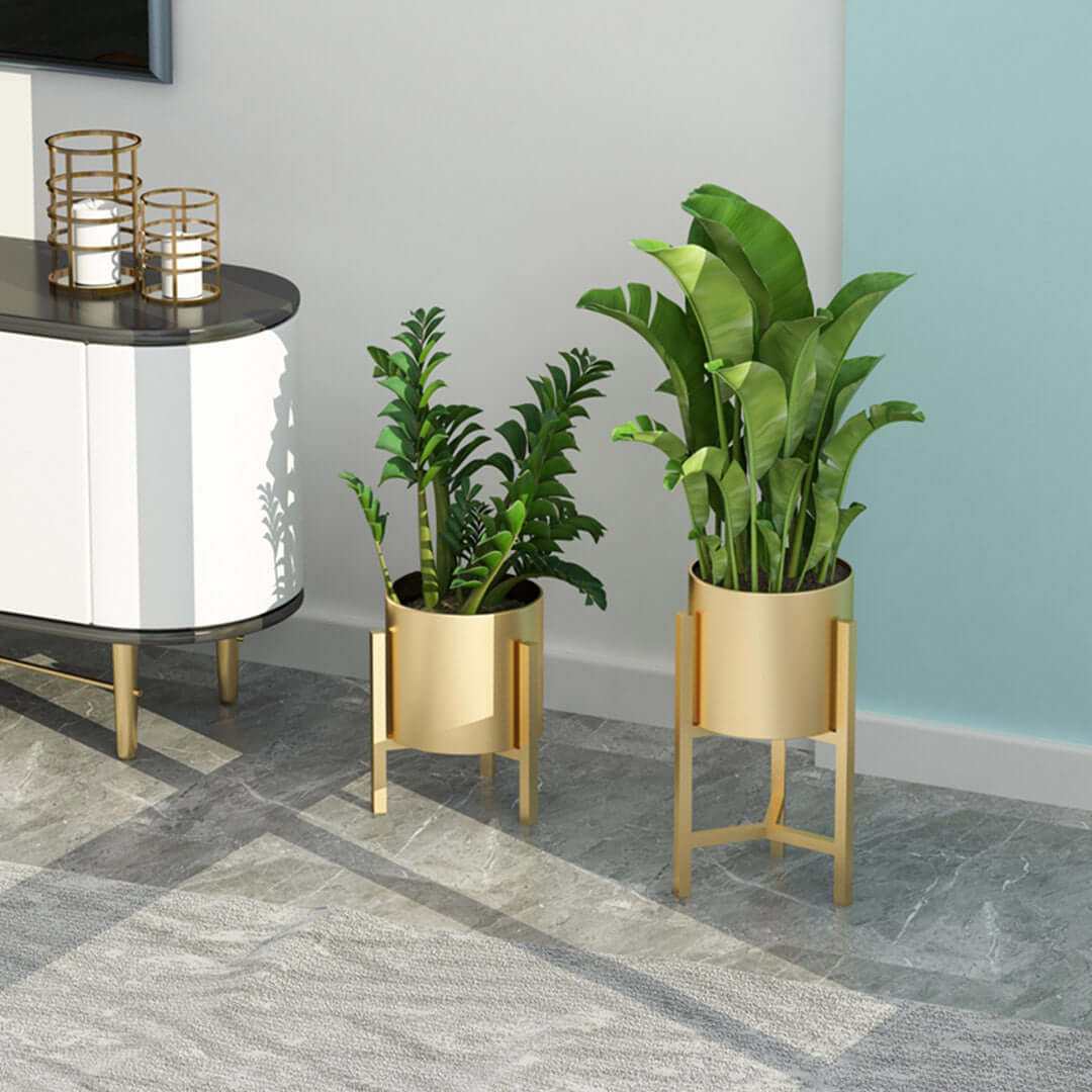 Modern affordable homewares showcasing quality green plants in gold planters and value furniture in a stylish living room setting.