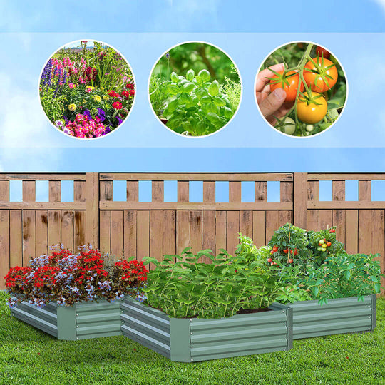 Raised garden beds with flowers, herbs, and tomatoes in a backyard, showcasing home gardening and sustainable living.