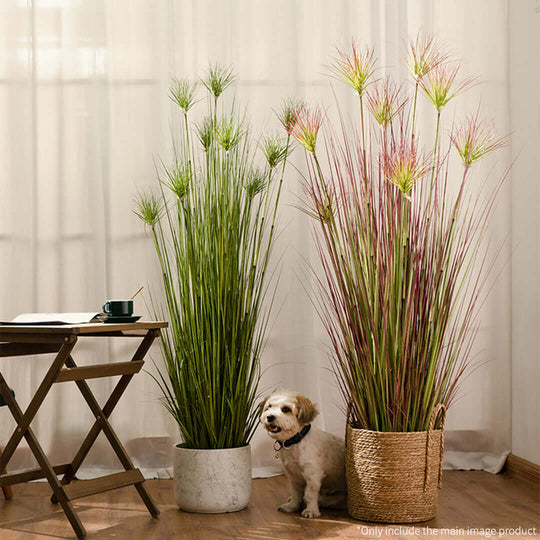 Elegant home setup featuring tall green plants in pots and a small dog near a wooden foldable table. Ideal affordable homewares and furniture.