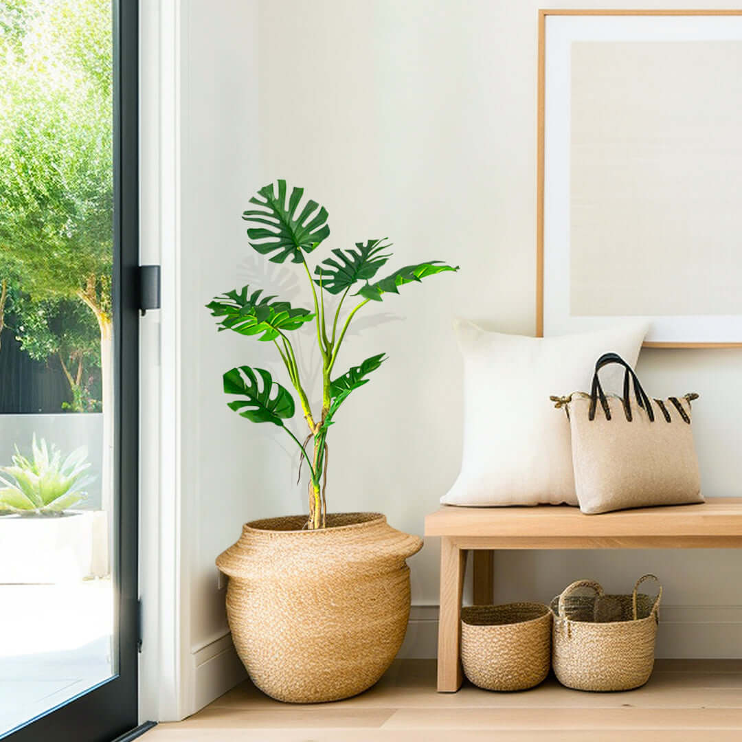 Modern living space with affordable homewares, featuring a quality decorative vase, plant, and value furniture bench with woven baskets.