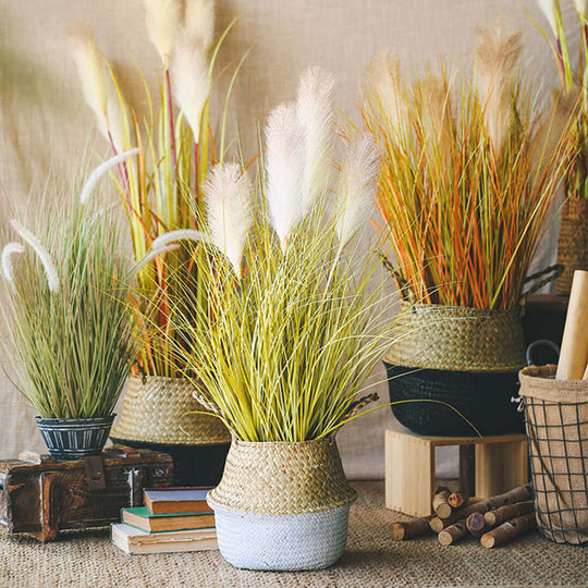 Affordable quality homewares and value furniture featuring stylish decorative plants in woven baskets.