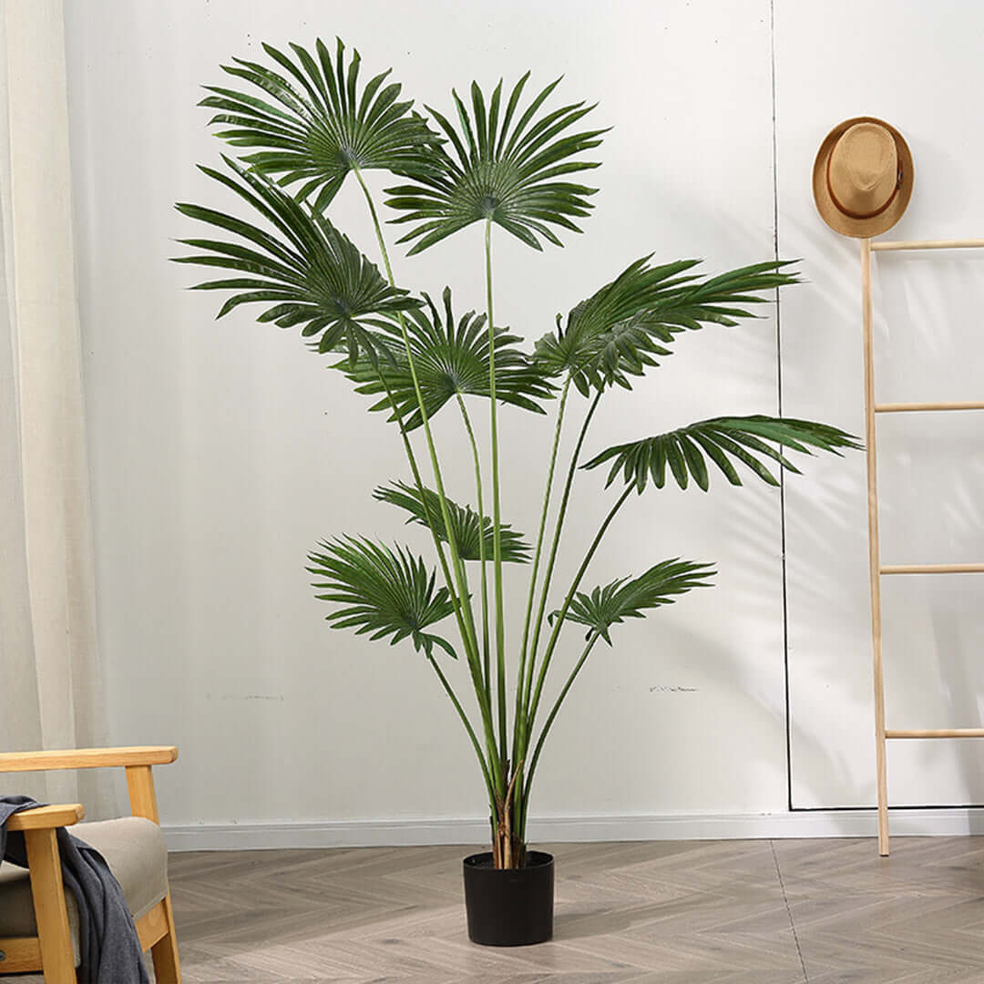 Affordable and quality homewares - tall indoor palm plant in a black pot - value furniture for stylish and green home decor