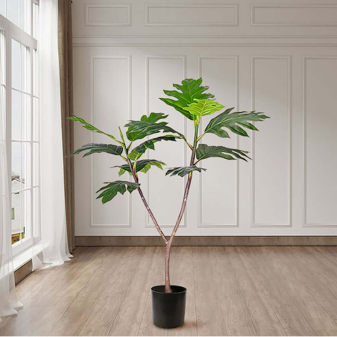 Affordable quality homewares - indoor plant in minimalist modern room, value furniture setting