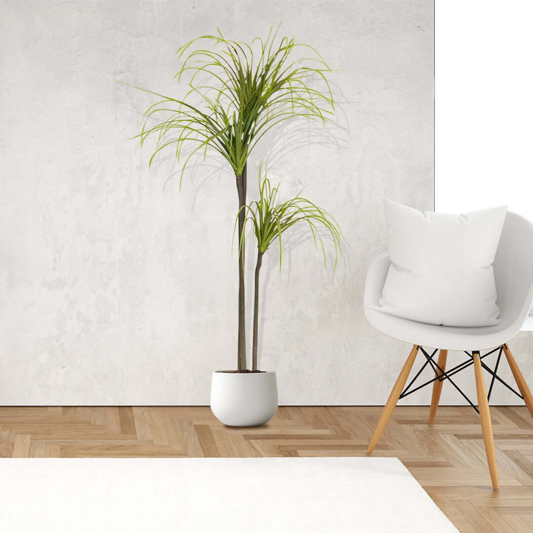 Modern affordable homewares featuring a quality potted plant and stylish chair for value furniture seekers.