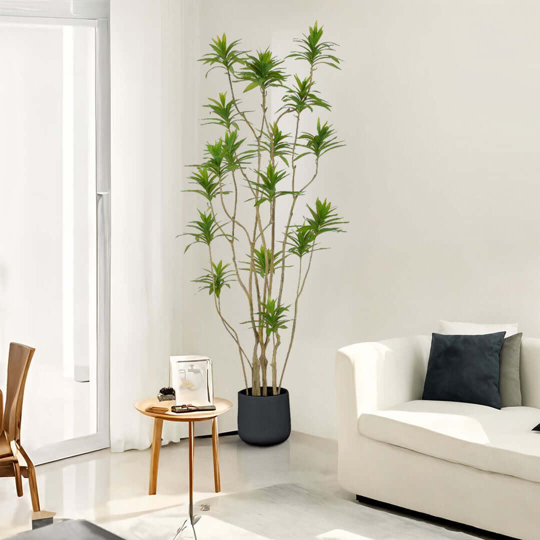 Modern living room with affordable quality homewares, including a potted plant, value furniture sofa, and a wooden side table.