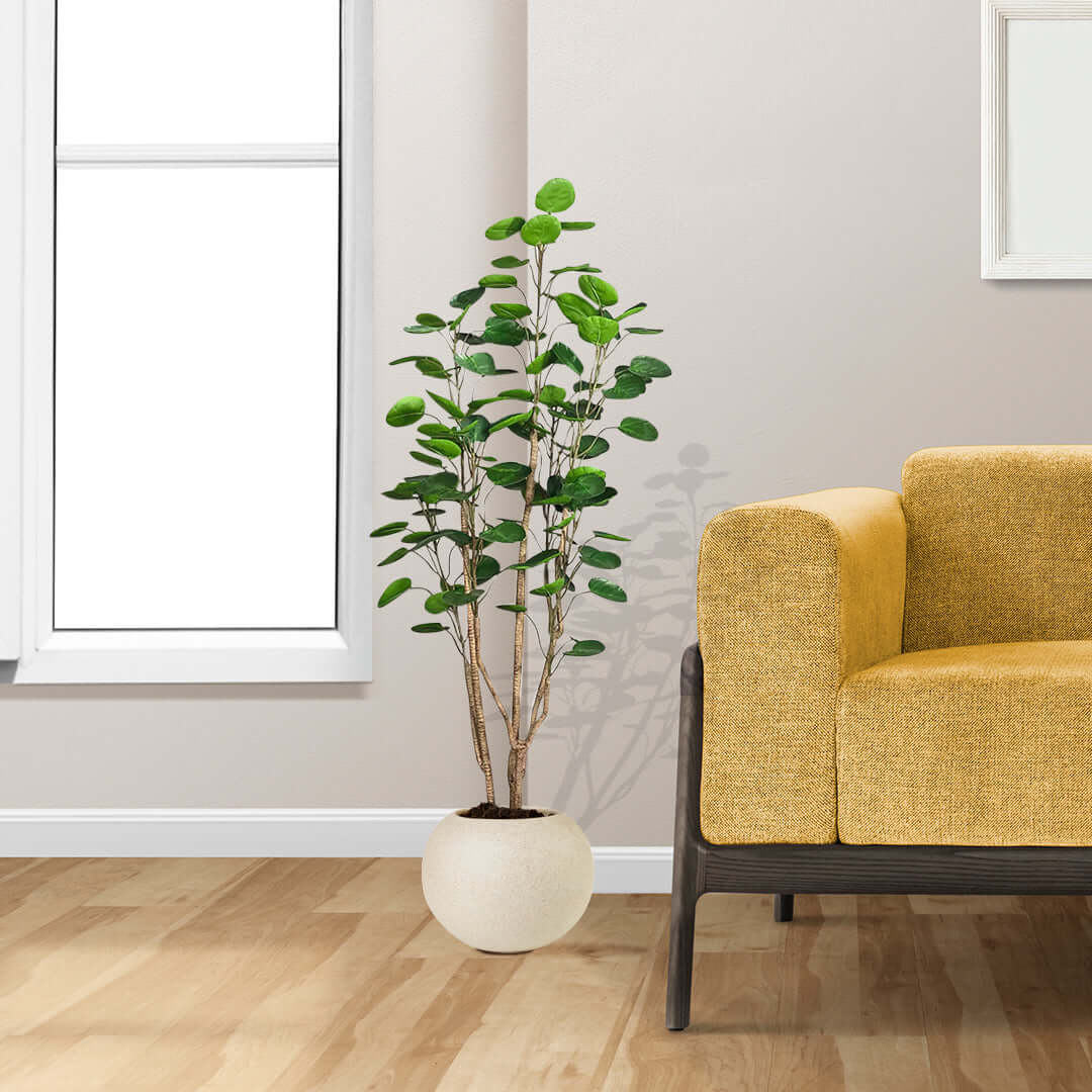 Modern affordable homeware with quality potted plant beside a mustard yellow sofa showcasing value furniture.