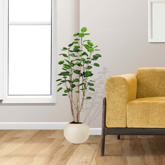 Modern affordable homeware with quality potted plant beside a mustard yellow sofa showcasing value furniture.