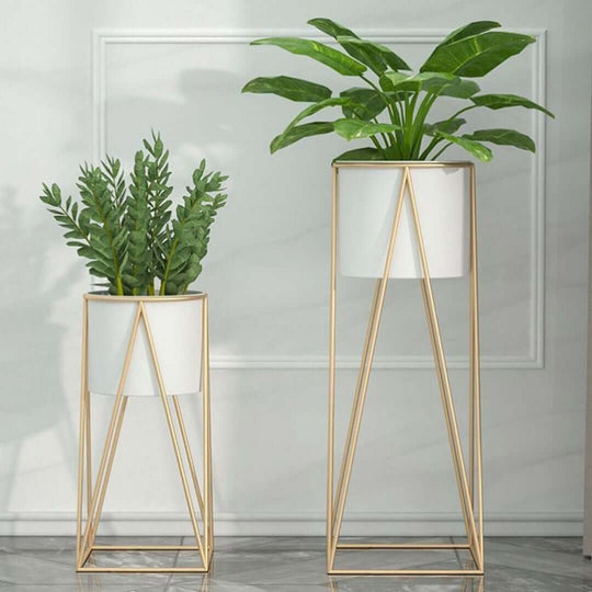 Affordable quality homewares - modern gold plant stands with green indoor plants for value furniture and stylish decor.