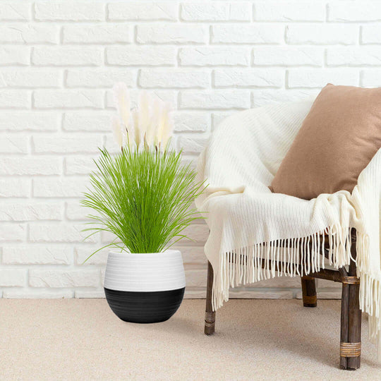 Quality affordable homewares featuring a stylish chair with a cozy throw and a modern planter with lush green plant against a white brick wall.