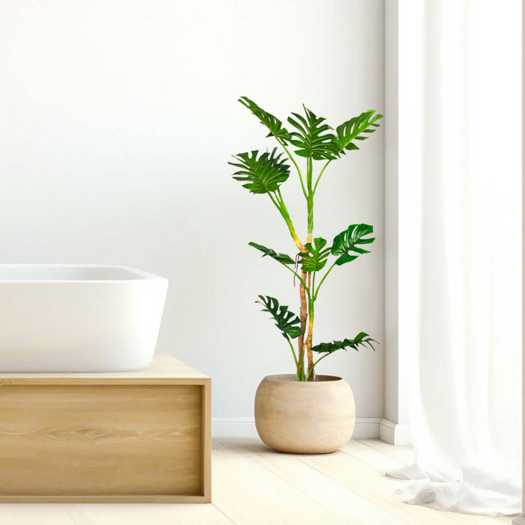 Modern bathroom with affordable homewares featuring a quality potted plant next to a value furniture bathtub.