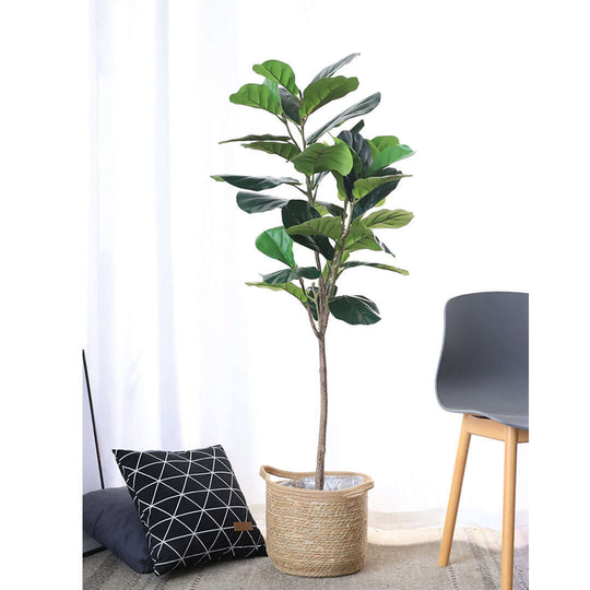 Affordable quality homewares - Indoor plant in woven basket next to a modern chair and decorative cushion on a stylish value furniture setup.