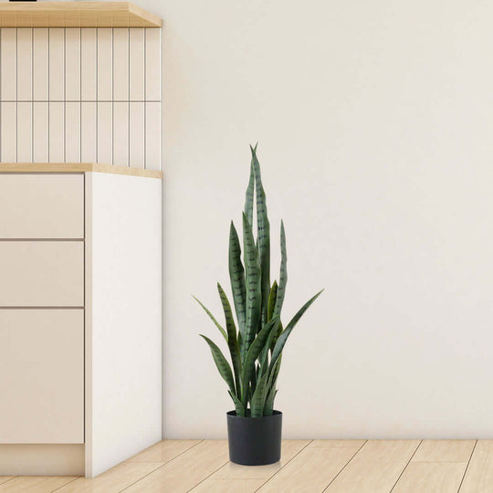 Affordable quality homewares - decorative snake plant in black pot adds value and style to any living space.