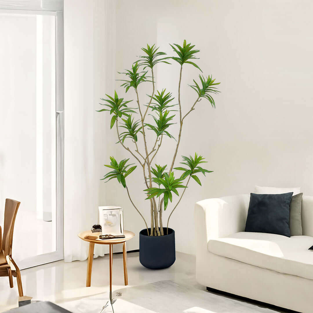 Modern living room with potted plant, white couch, and wooden table showcasing affordable homewares and quality value furniture.