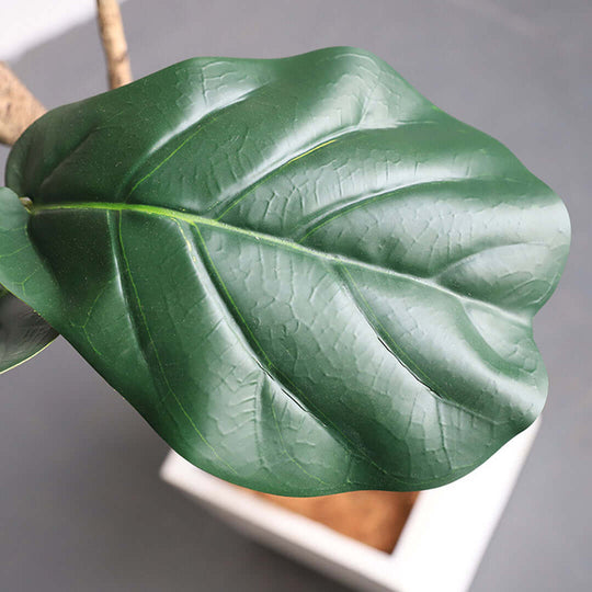 Close-up of a large green leaf from a potted indoor plant on a gray background.